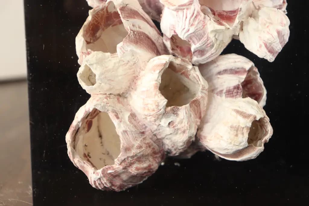 Thumbnail for lampe resine inclusion