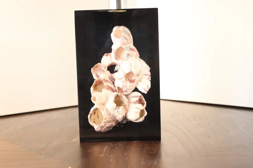 Thumbnail for lampe resine inclusion