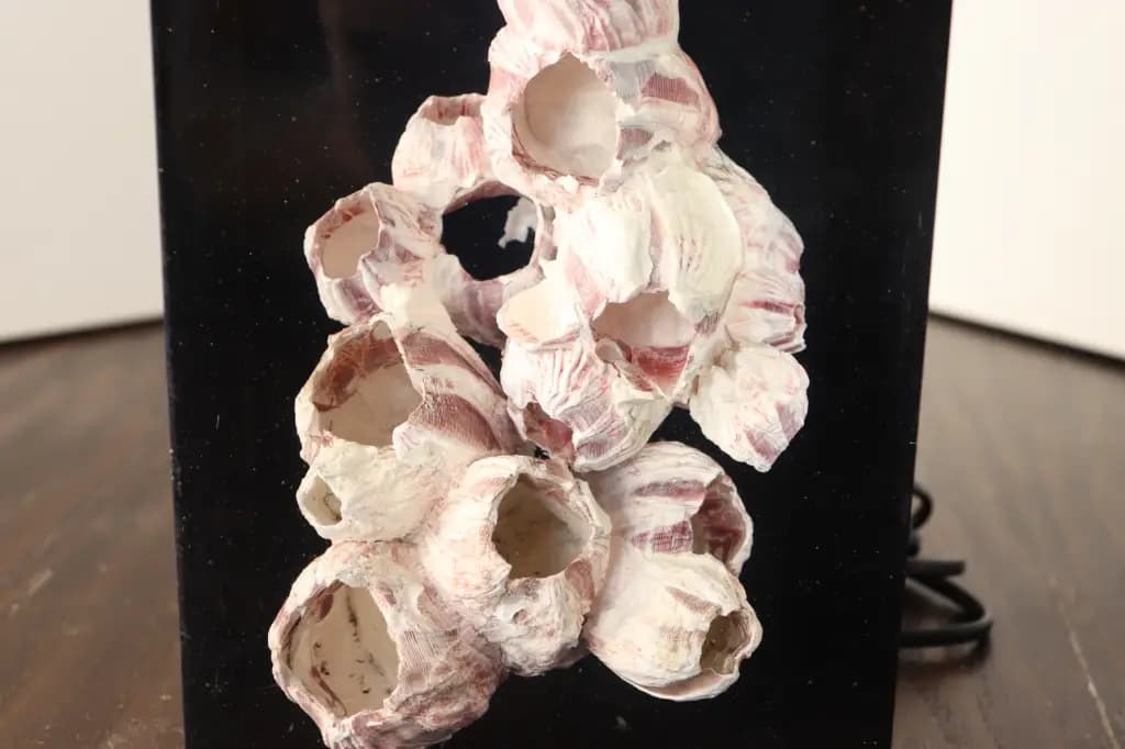 Thumbnail for lampe resine inclusion